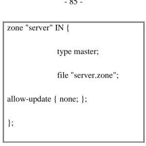 Figura II-27 /var/named/chroot/etc/named.conf 