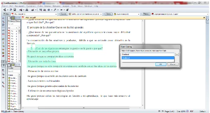 Figura 5. Ejemplo de asignación de códigos  