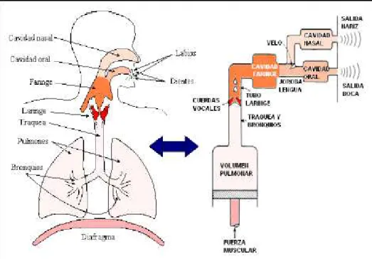Fig. I.4: Faces de la representación del sonido 