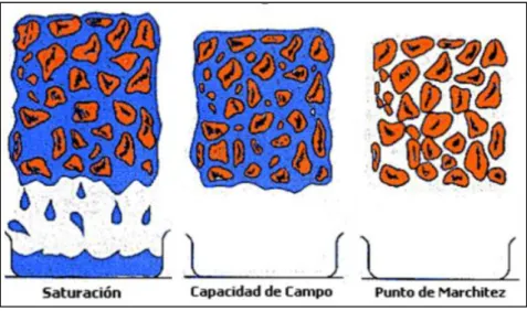 Figura 2-1 Humedad aprovechable 