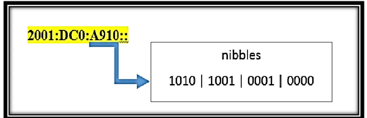 Figura 4 - 2 Representación de un nibble 