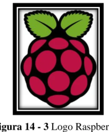 Figura 14 - 3 Logo Raspberry 