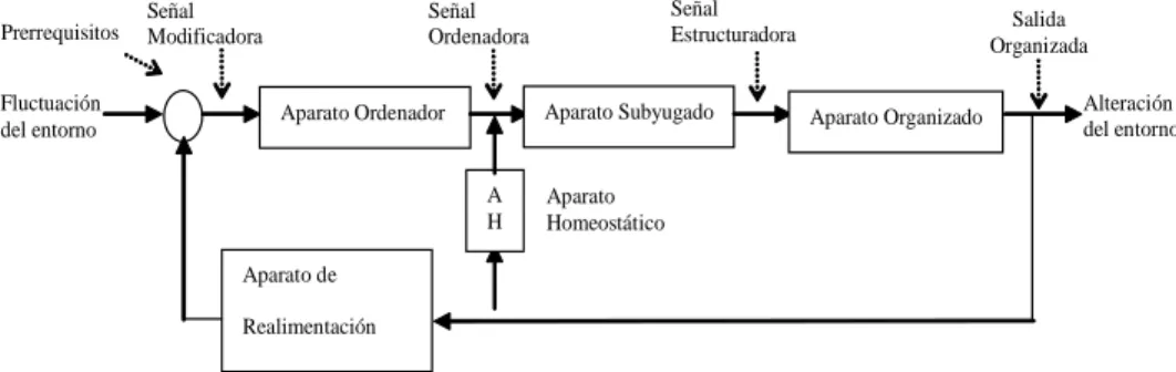 Figura 1. Modelo universal de autoorganización
