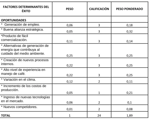 CUADRO 8. Matriz EFE 