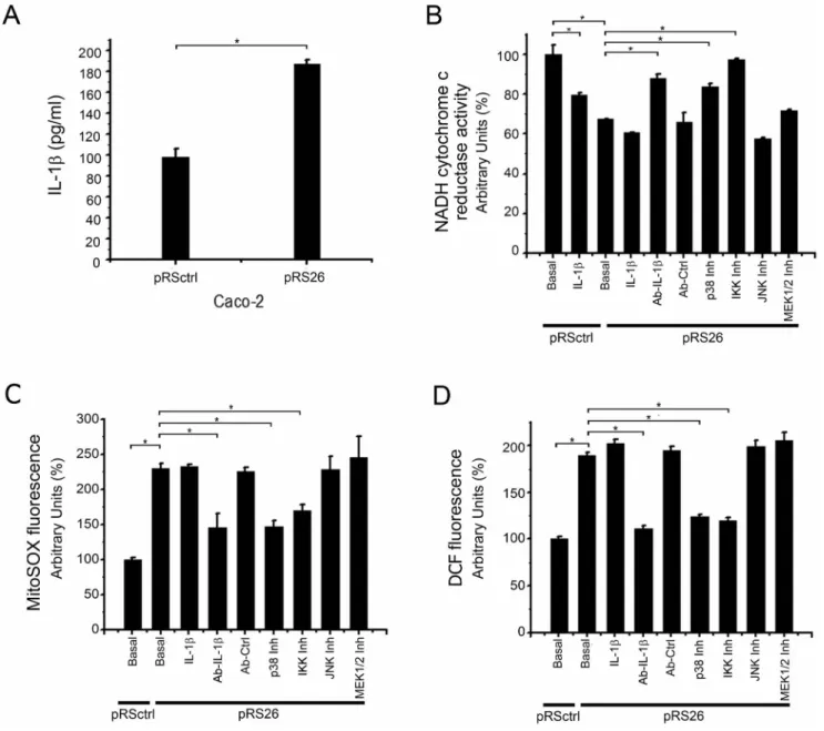 Figure 10. Il-1b secretion, Mitochondrial NADH cytochrome c reductase activity and ROS levels in stable CFTR knock down cells.