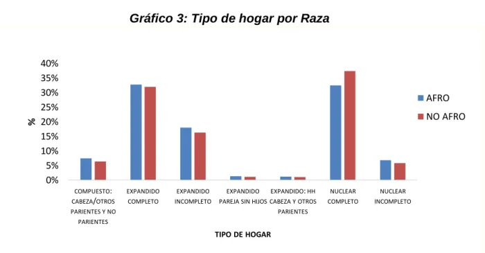 Gráfico 3: Tipo de hogar por Raza