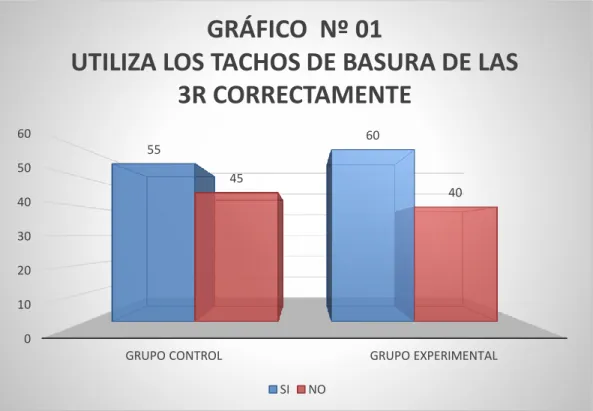 GRÁFICO  Nº 01