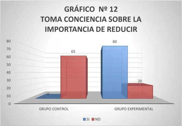 GRÁFICO  Nº 12