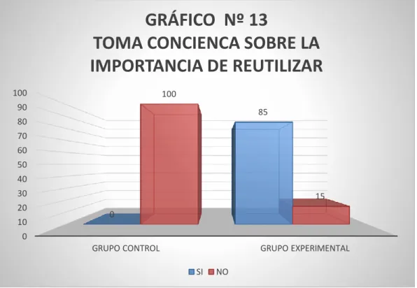 GRÁFICO  Nº 13