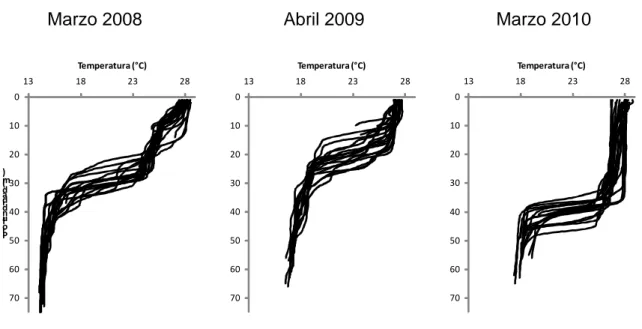 Figura 3. Perfiles verticales de temperatura (°C) para los tres periodos evaluados  en el PNN Gorgona