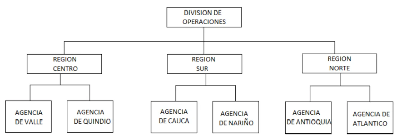Figura 2. Estructura territorial 