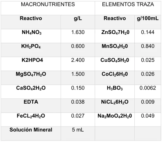 Tabla 8. Composición de la solución nutritiva 