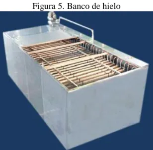 Figura 5. Banco de hielo 