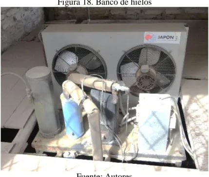 Figura 18. Banco de hielos 