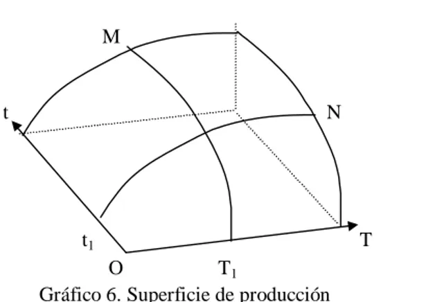 Gráfico 6. Superficie de producción