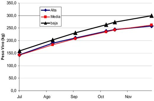 Figura 11.- Evolución del peso vivo de vaquillas pastoreando raigras a carga alta (5,7  vaq/ha), carga media (4,2 vaq/ha) y carga baja (3 vaq/ha)