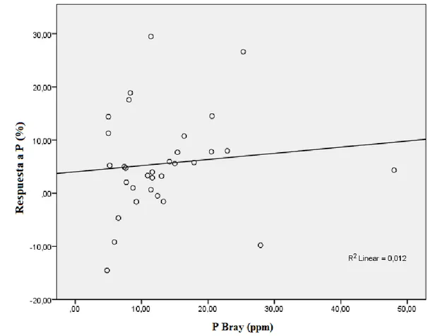Figura 2. Relación entre respuesta al P y concentración de P Bray en el suelo en soja en la región  pampeana y mesopotámica