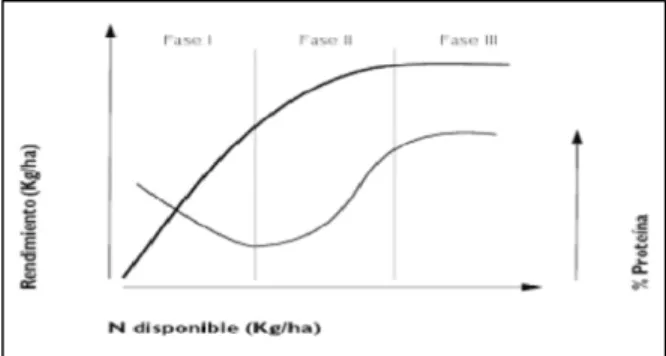 Gráfico 2. 