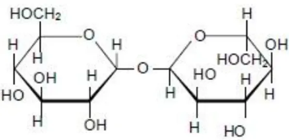 Figura N° 5: Estructura química de la molécula de trehalosa. Fuente: Adaptado de Singer y  Lindquist, 1998 