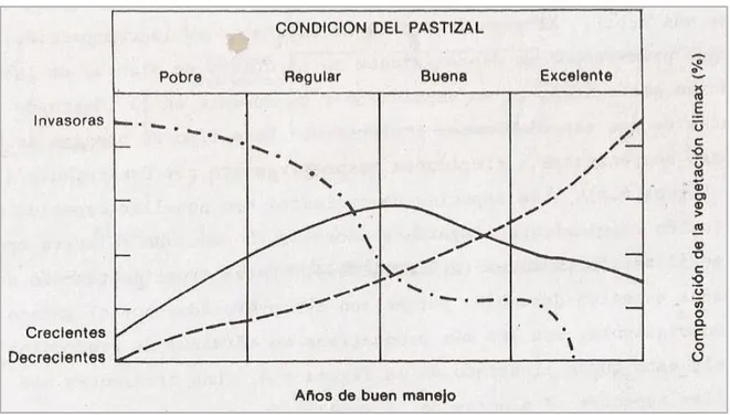 Gráfico 4 - Ejemplo de sucesión secundaria (Bernardón, 1986) 