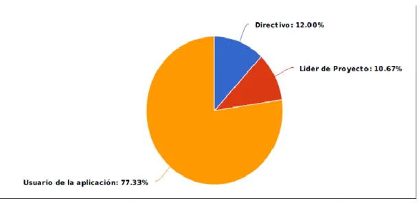 Gráfico 13.  