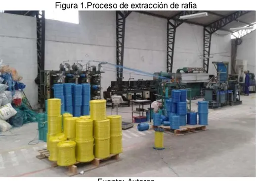 Figura 1.Proceso de extracción de rafia 