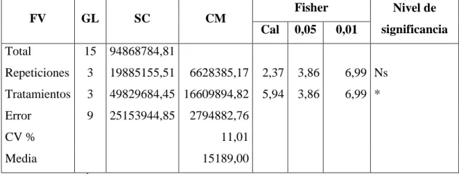 CUADRO 13. ANÁLISIS DE VARIANZA PARA EL RENDIMIENTO TOTAL Kg/ha. 