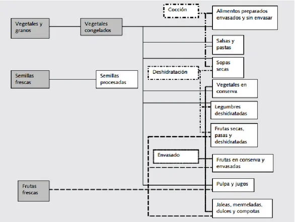 Figura 3. Estructura simplificada de la cadena 