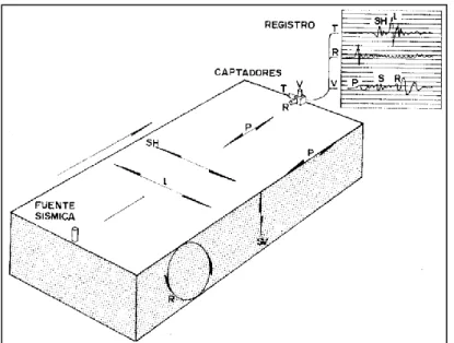 Figura 2.15 Registro de Ondas 