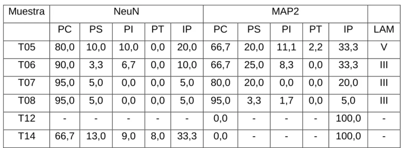 Tabla 3. Nivel de compromiso de la IR en el tejido contuso  