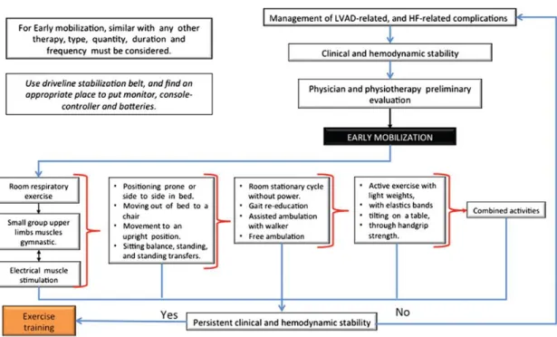 Figure 1. Ventricular assist device recipients and early mobilisation. HF, heart failure; LVAD, left ventricular assist device