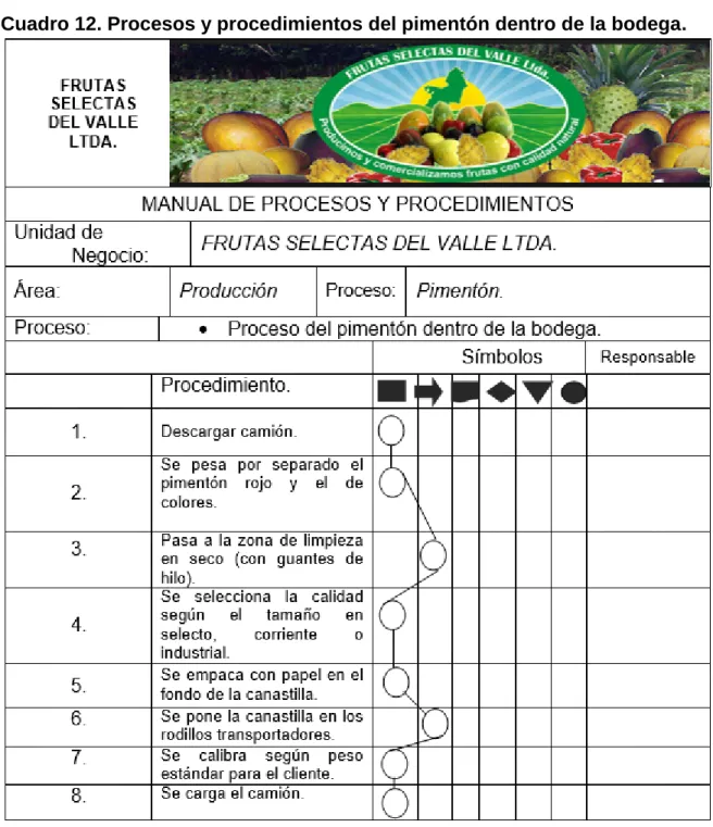 Cuadro 12. Procesos y procedimientos del pimentón dentro de la bodega. 