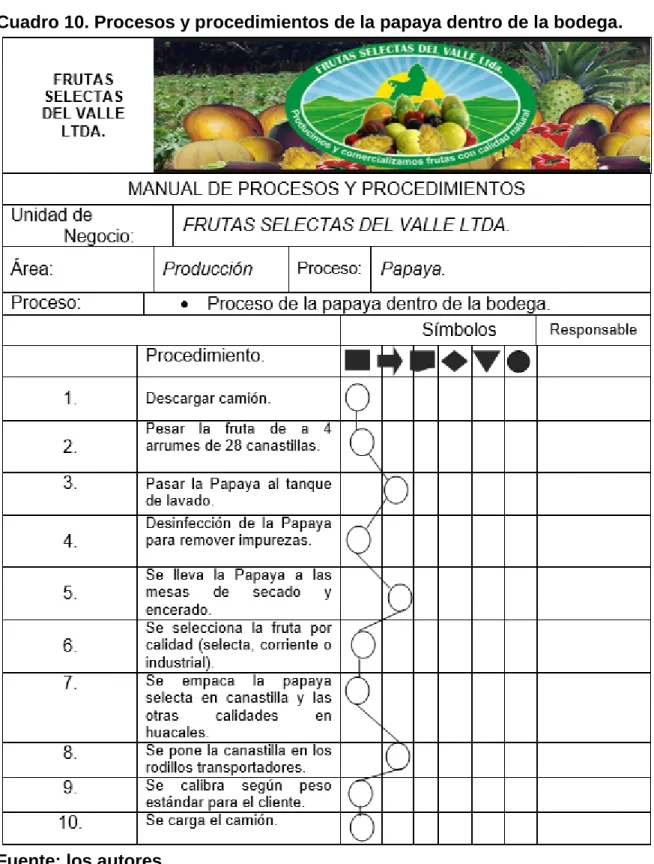 Cuadro 10. Procesos y procedimientos de la papaya dentro de la bodega. 