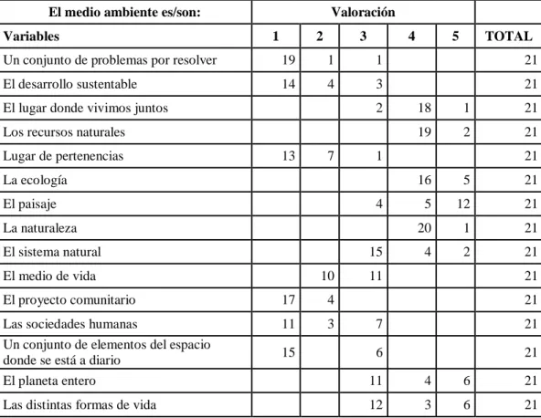 Tabla 7. Importancia de variables que hacen parte del medio ambiente 