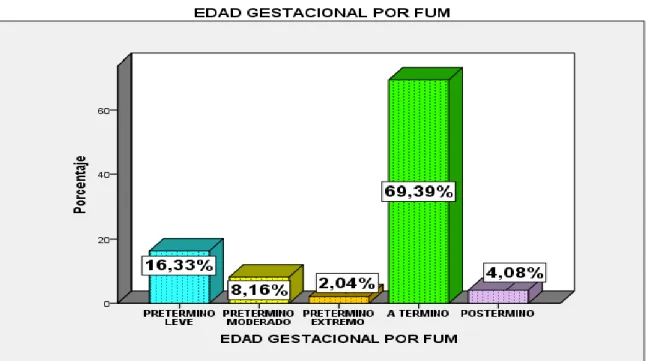 GRÁFICO N° 02 