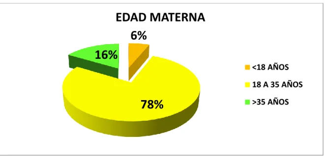 GRÁFICO N° 05 