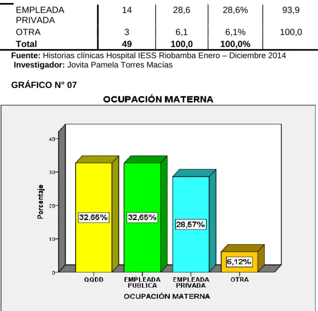 GRÁFICO N° 07 
