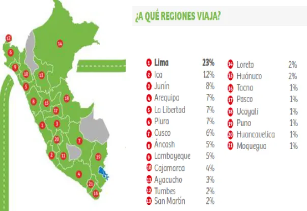 Gráfico N° 16 