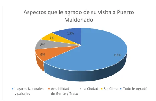 Gráfico N° 19 