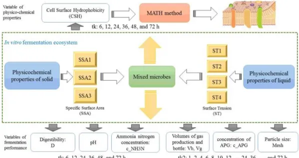 Fig. 2. Flowchart of the experimental section used to construct the dataset. 