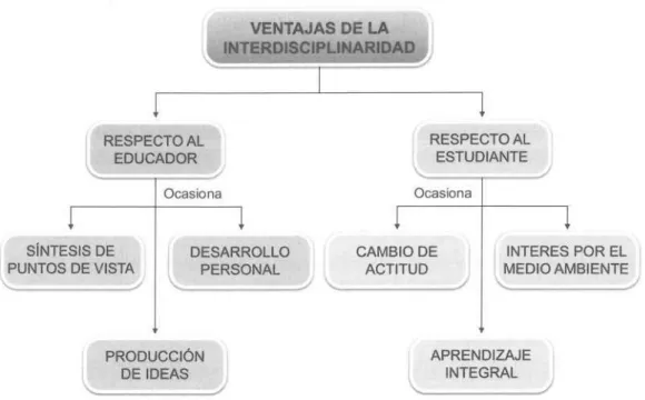 Figura Nº  3: Ventajas de la interdisciplinaridad. 