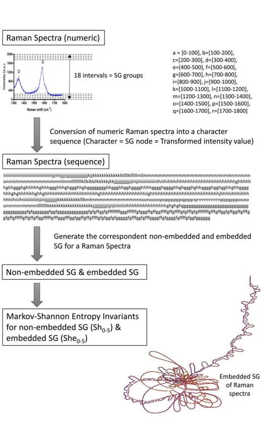 Figure 3. Transformation of the Raman spectra for Pristine MWCMT (CNT1) into SG Shannon entropies invariants using  the S2SNet tool