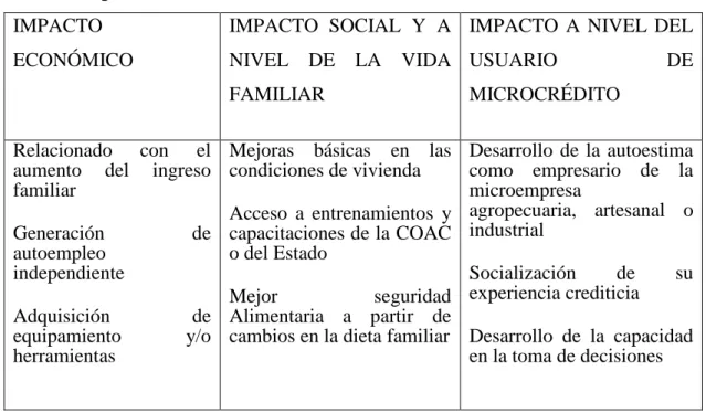 Tabla 1: Impacto de la microfinanza  IMPACTO  ECONÓMICO  IMPACTO  SOCIAL  Y  A NIVEL  DE  LA  VIDA  FAMILIAR 