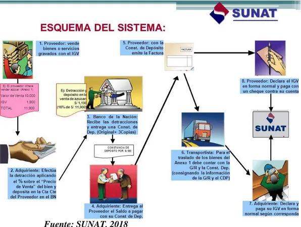 FIGURA 5: ESQUEMA DEL SISTEMA DE DETRACCIONES 