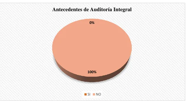 Gráfico 3: Antecedentes de Auditoría integral 