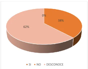 Figura  3: Antecedentes de Auditoría 