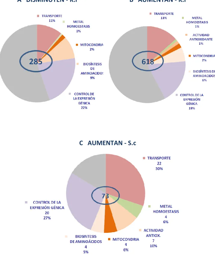 Figura 5. Diagramas mostrando los porcentajes de genes  de diferentes categorias funcionales que varían  su expresión en  respuesta a cadmio en K