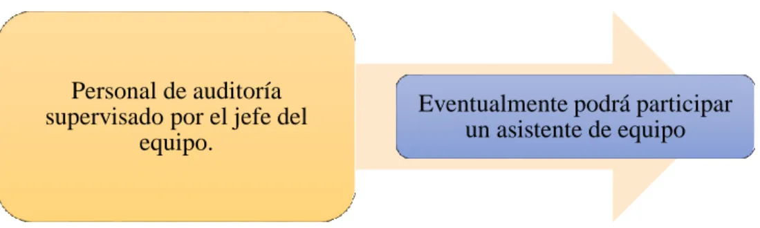 Gráfico 1: Procesos de la planificación preliminar 