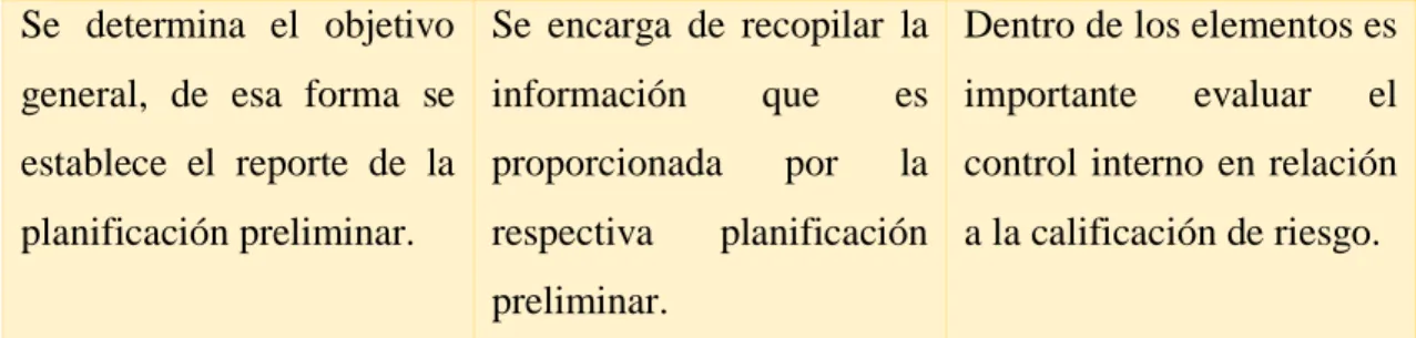 Gráfico 7: Elementos de la planificación especifica  Elementos  