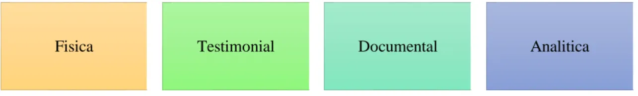 Gráfico 12: Clasificación de la evidencia 